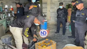 Desmantelan en la RD una red que falsificaba medicamentos
