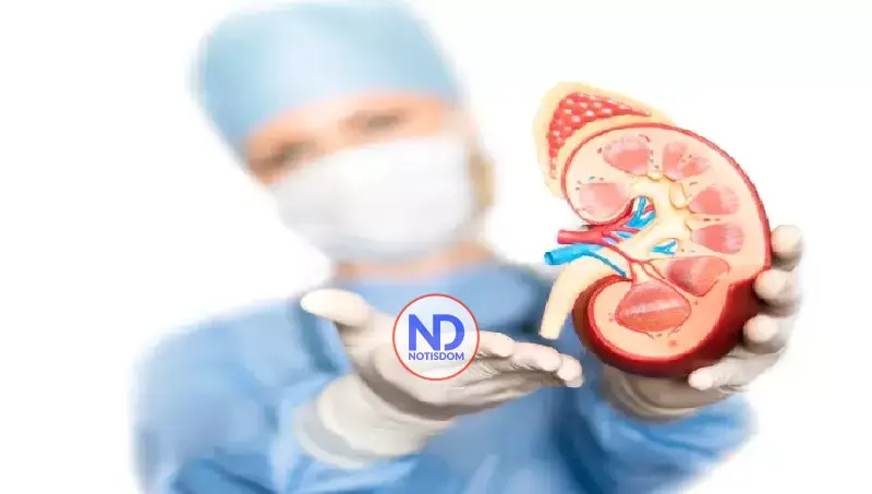 Lo que realmente se necesita para ser donante vivo de riñón 2 Lo que realmente se necesita para ser donante vivo de riñón