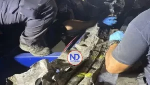 Ocupan cocaína valorada en 10 millones dólares, procedía RD