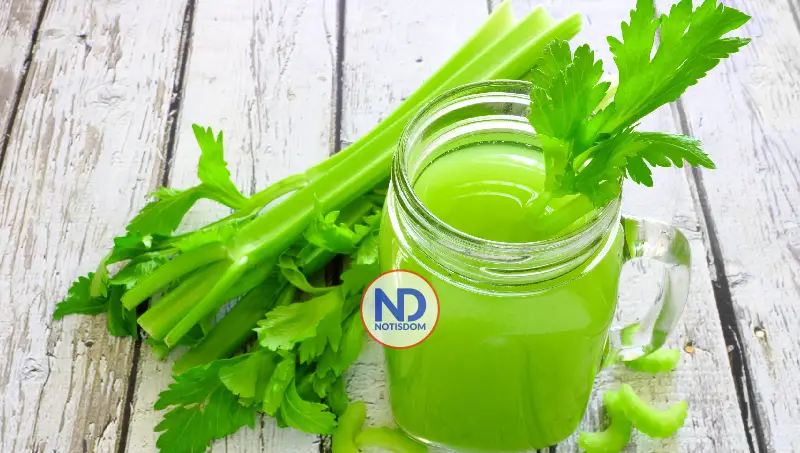 El apio bajo la lupa científica: el vegetal que depura el cuerpo y fortalece la salud de manera integral