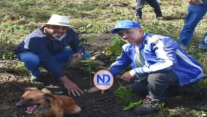 DGJP realiza jornada de reforestación en Bonao