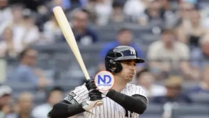 ¿Cuáles son las opciones de Yankees en los jardines para el 2026?