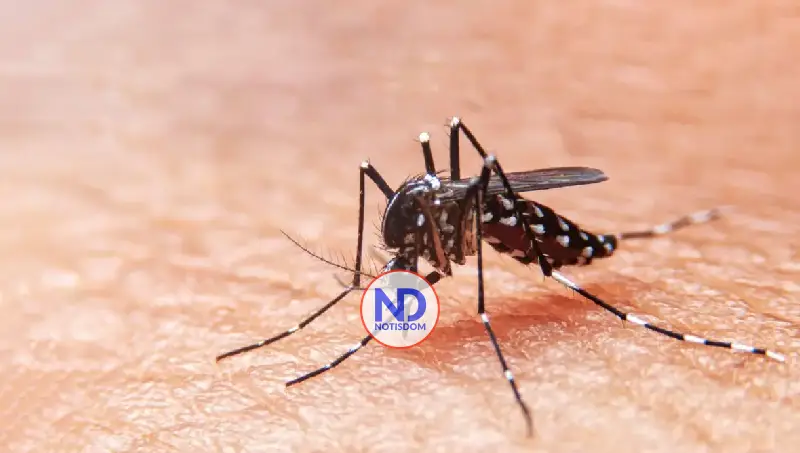 Salud Pública reporta 847 casos de malaria, reducción del 80 % en dengue y 1,691 muertes infantiles en 2025