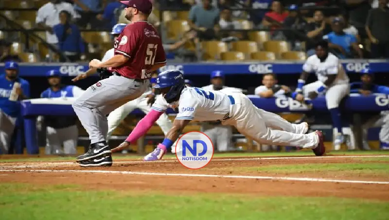 Licey blanquea a los Gigantes; Aguilas superan a los Leones