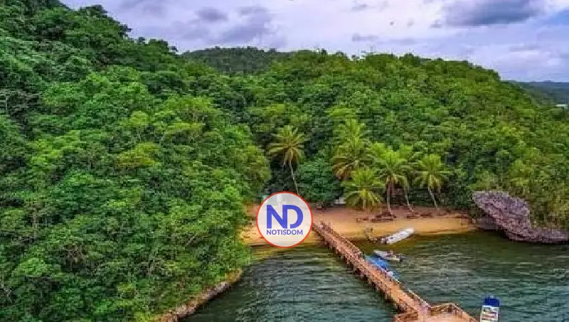 Detuvieron a 52 personas que depredaban en Los Haitises 2 Detuvieron a 52 personas que depredaban en Los Haitises