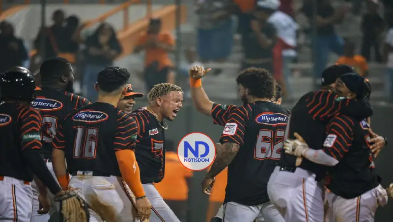 Los Toros derrotan al Licey y se afianzan segundo lugar beisbol 2 Los Toros derrotan al Licey y se afianzan segundo lugar beisbol