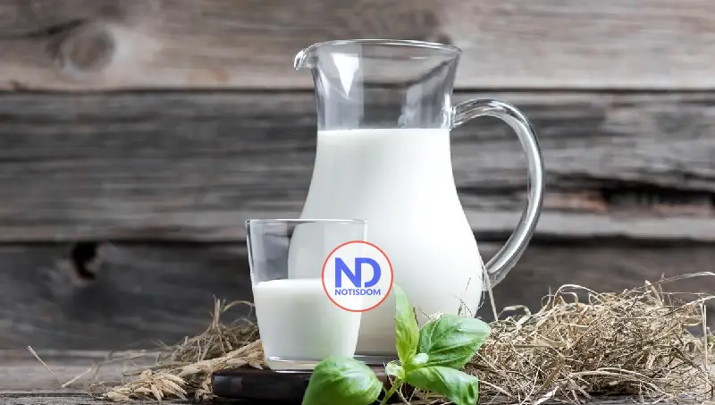La leche, una aliada clave para prevenir la osteoporosis y la sarcopenia 2 La leche, una aliada clave para prevenir la osteoporosis y la sarcopenia