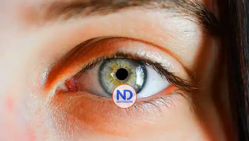 El mejor inicio de año es sentirse bien: comienza por la mirada