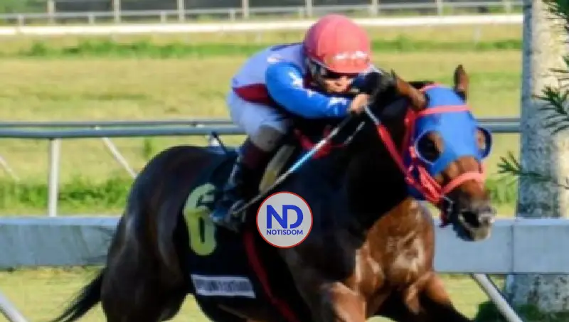 Repartirán un millón de pesos a fanáticos por Clásico Navidad