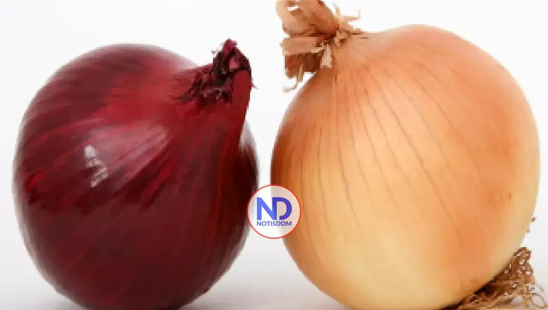 La cebolla: un aliado natural para la salud urinaria y prostática