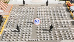 En año 2025 fueron ocupados 48,335 kilos de drogas en la RD