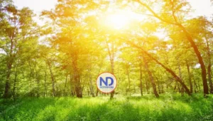 Indomet pronostica buen tiempo en RD para este último lunes del año