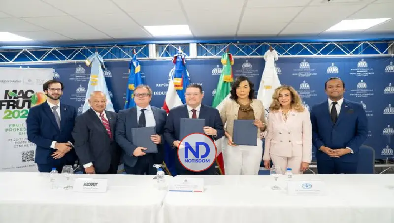 Mango y aguacate dominicanos a la conquista mercado italiano 2 Mango y aguacate dominicanos a la conquista mercado italiano