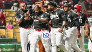 Leones avanzan a final beisbol RD; Aguilas y Toros empatan