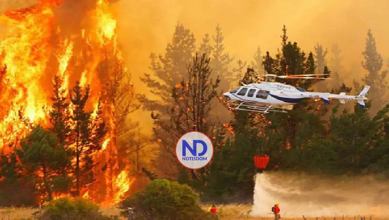 Aumentan a 21 muertos debido a incendios forestales en Chile