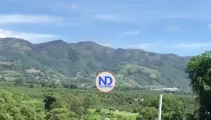 Multa de 60 millones de pesos a empresa por daño ambiental