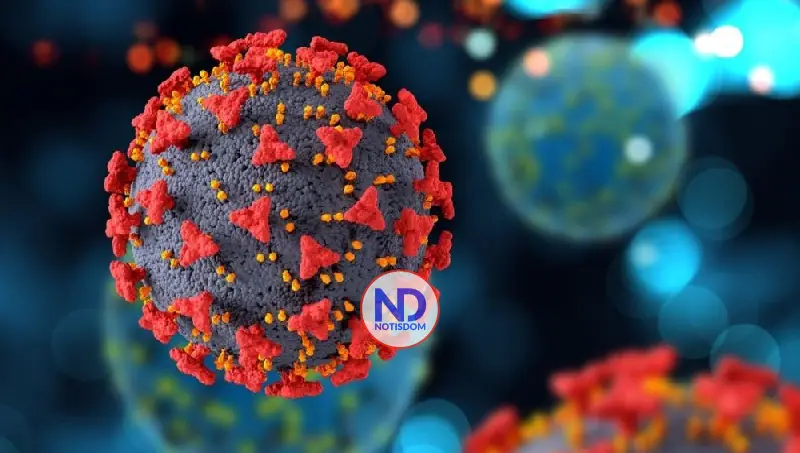 Sociedad de Neumología alerta sobre infecciones respiratorias