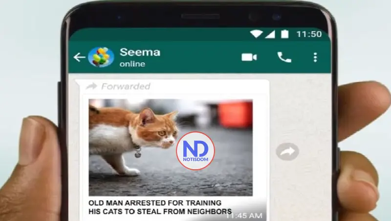 Nueva demanda contra Meta por supuesto acceso a los chats de WhatsApp