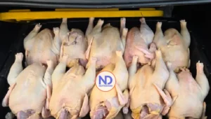 Inespre inicia venta más de un millón libras de pollo a 55 pesos