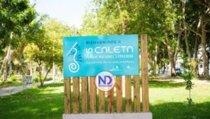 Buscan declarar patrimonio municipal el Parque Nacional Submarino de La Caleta