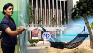 Un año sabático con su sueldo completo para profesores, la propuesta de corriente magisterial ante Educación