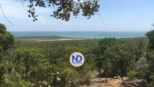 Abren investigación penal sobre maniobras en áreas protegidas