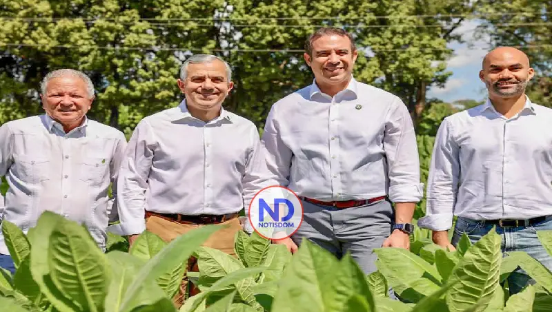 RD incrementó exportaciones tabaco en mil millones dólares 2 RD incrementó exportaciones tabaco en mil millones dólares