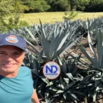 Proyecto de cultivo de agave impulsa nueva oportunidad económica y productiva para el sur del país