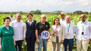 RD hace exportaciones tabaco por US$1,356 millones anuales