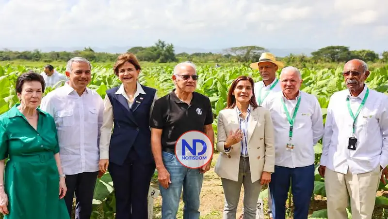 RD hace exportaciones tabaco por US$1,356 millones anuales 2 RD hace exportaciones tabaco por US$1,356 millones anuales