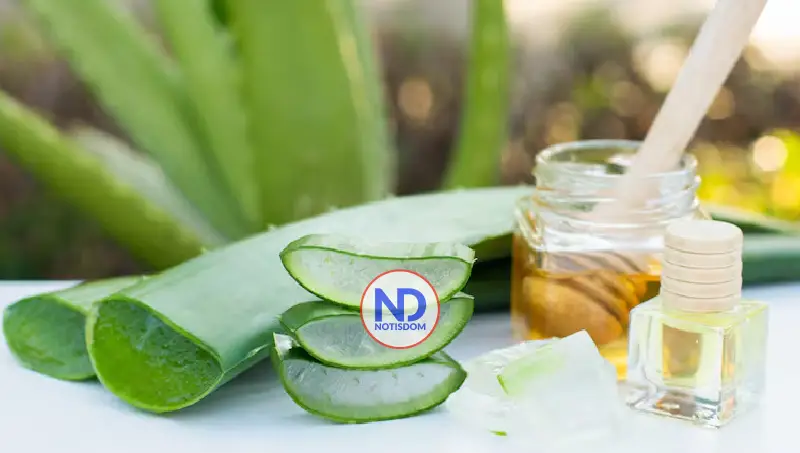 Receta natural y salud: expertos piden prevenir frente al cáncer y pérdida de la visión