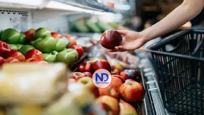 ¿Sabías que la fibra puede cuidar tu memoria? Descubre dónde encontrarla 3 NOTISDOM FOTOS MT2025 2026 03 04T160442.456 ¿Sabías que la fibra puede cuidar tu memoria? Descubre dónde encontrarla