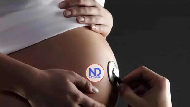 Así cambia el cerebro de la mujer durante la embarazo: se vuelve más dinámico