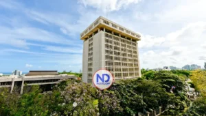 Con 3.5 %, remesas recibidas en febrero 2026 se ubicaron en US$887.6 millones; peso dominicano se apreció 5.2 %