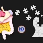 Una mala conexión entre el aparato digestivo y el cerebro daña la memoria