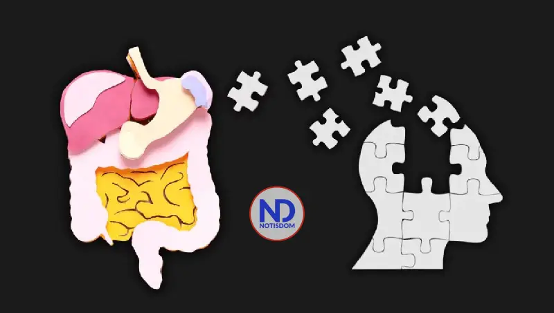 Una mala conexión entre el aparato digestivo y el cerebro daña la memoria