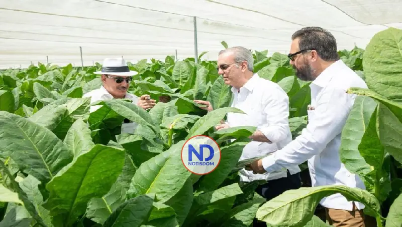 Presidente Abinader visita finca tabacalera “La Milagrosa” de Arturo Fuente en Monte Plata