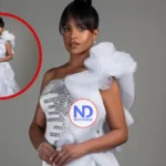 “Rascacielos de cristal”. Un vestido de Luis Domínguez para Millizen Uribe