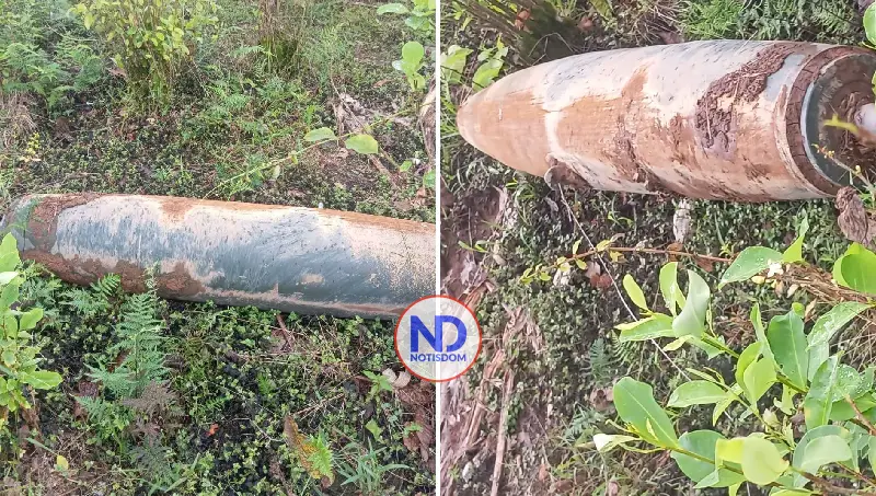 Colombia y Ecuador investigan hallazgo bomba en la frontera