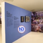 Museo de Arte Moderno de SD expone obra de martiniqués