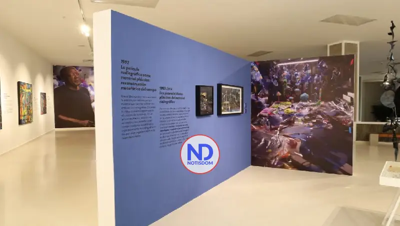 Museo de Arte Moderno de SD expone obra de martiniqués