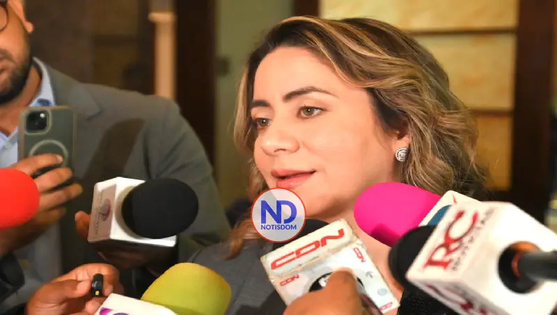 Gloria Reyes convoca Gabinete por feminicidios; respalda medidas de Abinader por conflicto en Medio Oriente