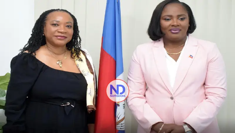 Enviada de ONU ofrece apoyo a próximas elecciones en Haití