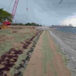 proyecto Manzanillo Power1