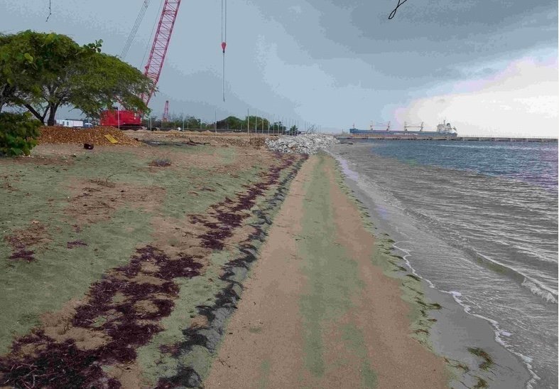 Entidad pide Presidente revisar el proyecto Manzanillo Power 3 proyecto Manzanillo Power1 Entidad pide Presidente revisar el proyecto Manzanillo Power