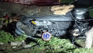 Profesora impacta su vehículo contra un árbol en Hato Mayor y resulta ilesa