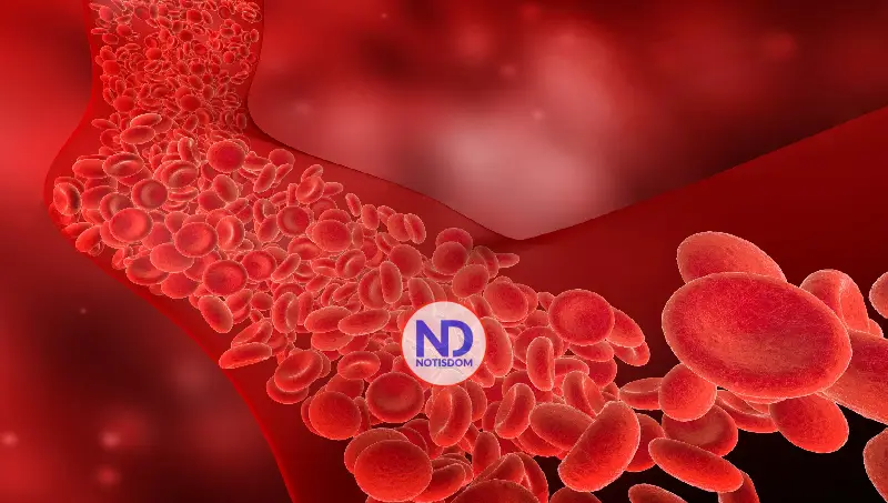 Colesterol, un factor silencioso que impacta la salud cardiovascular