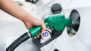 ONPECO pide transparencia en calidad de la gasolina premium