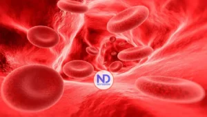 Hoy Día Mundial de Hemofilia: 3 de cada que la padecen no lo saben