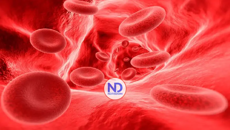 Hoy Día Mundial de Hemofilia: 3 de cada que la padecen no lo saben